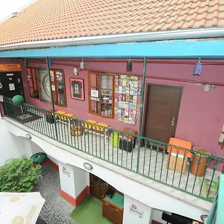 Backpacker Hostel *